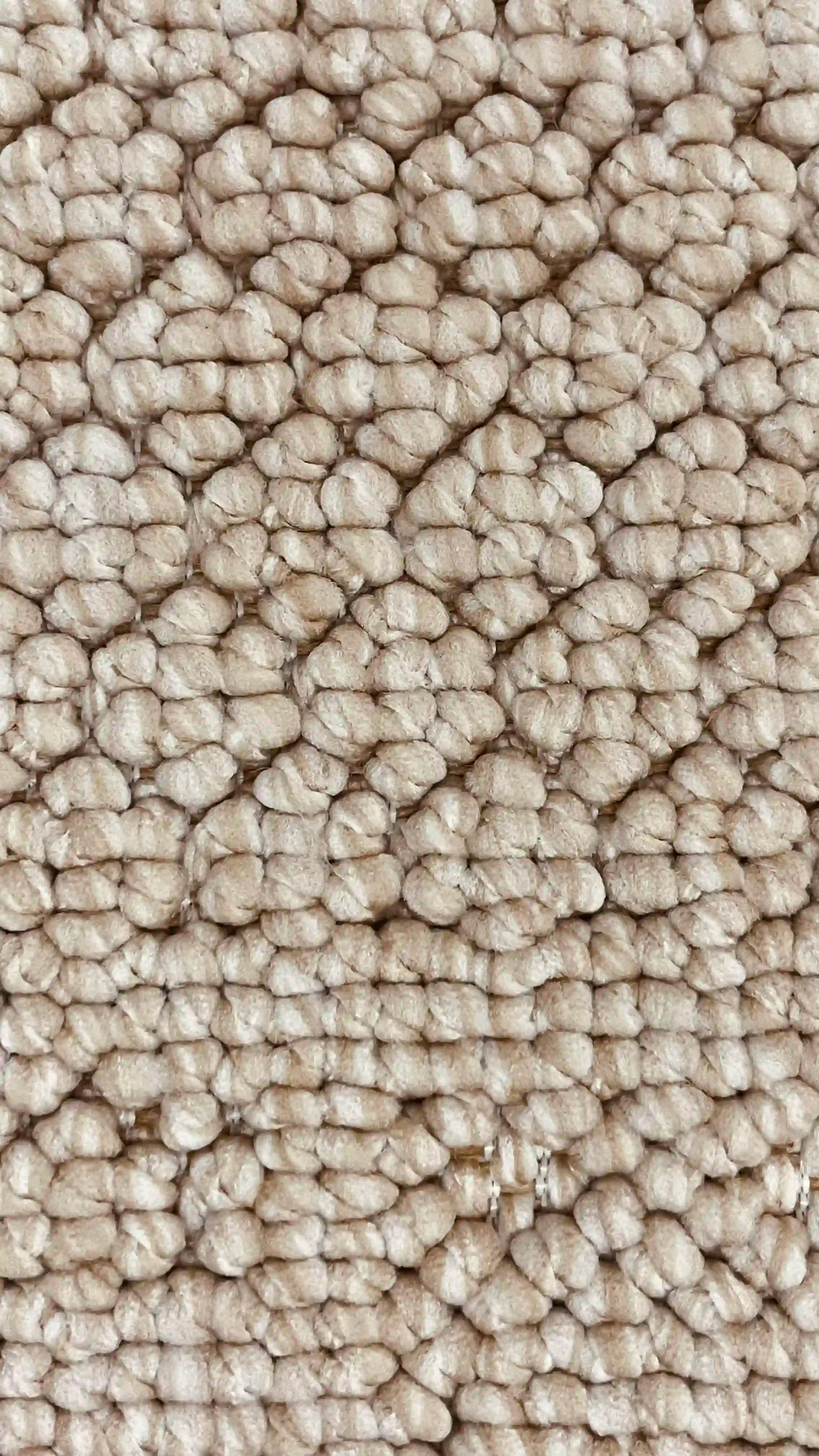 שטיח וויב לולאות 268 02 קרם | WEAVE